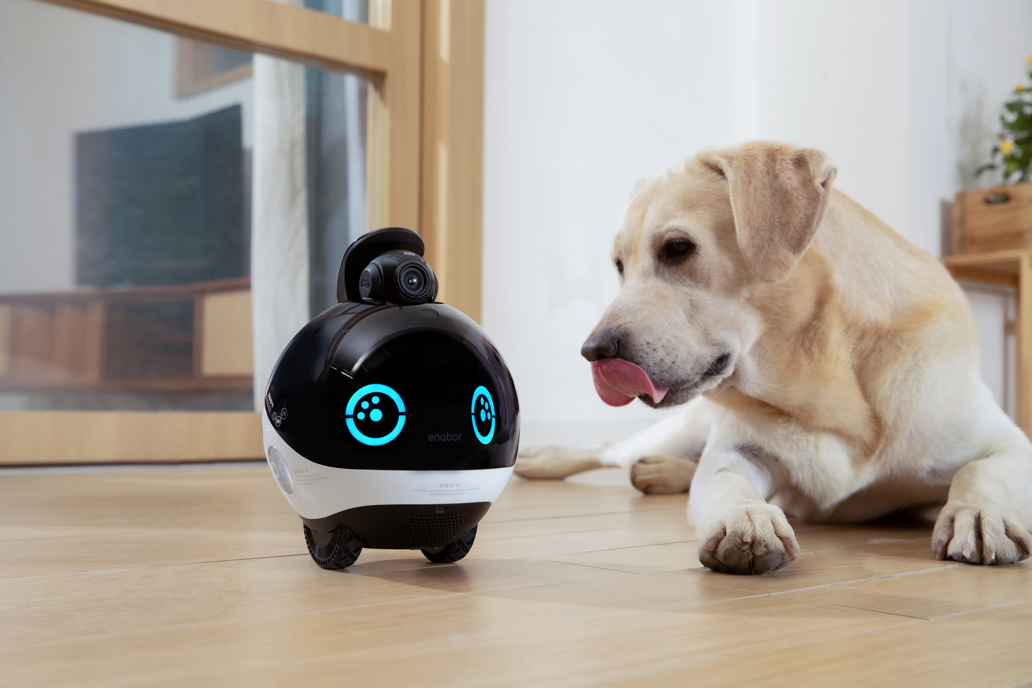 Enabot EBO X  Family Robot Companion