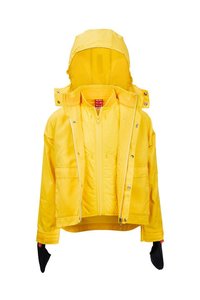 WORN TO BE WILD Adventure Jacket