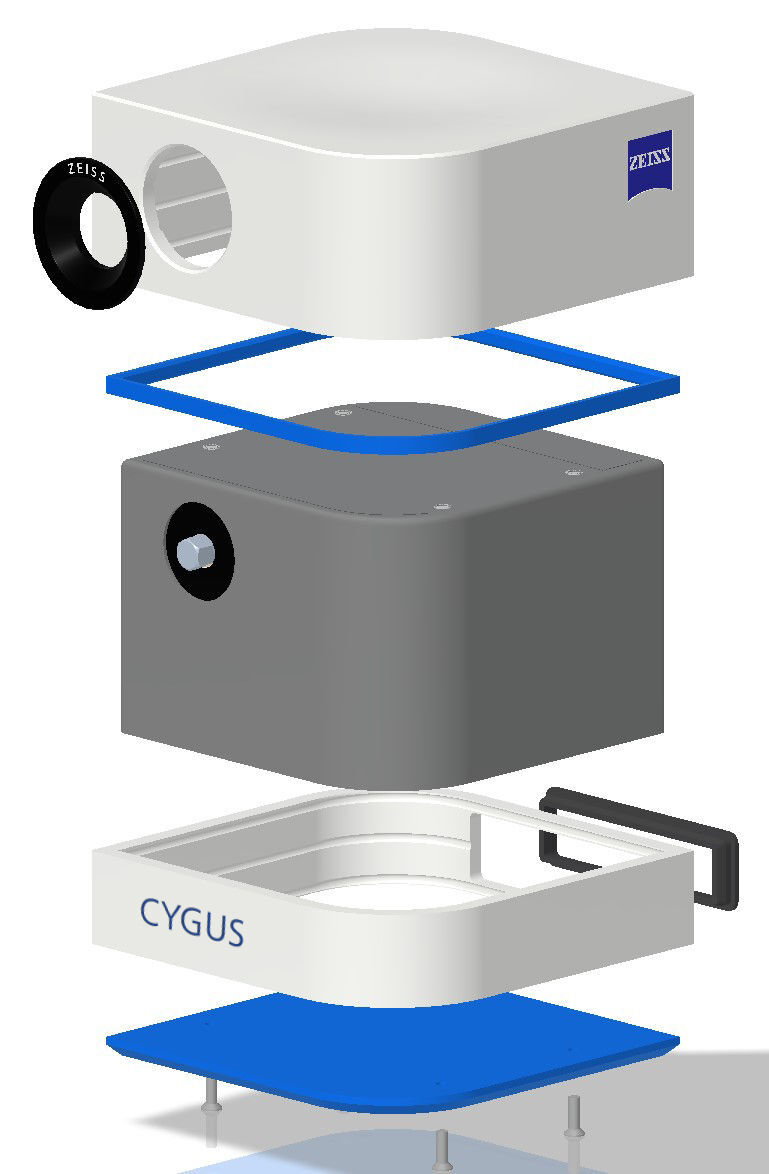 CYGUS