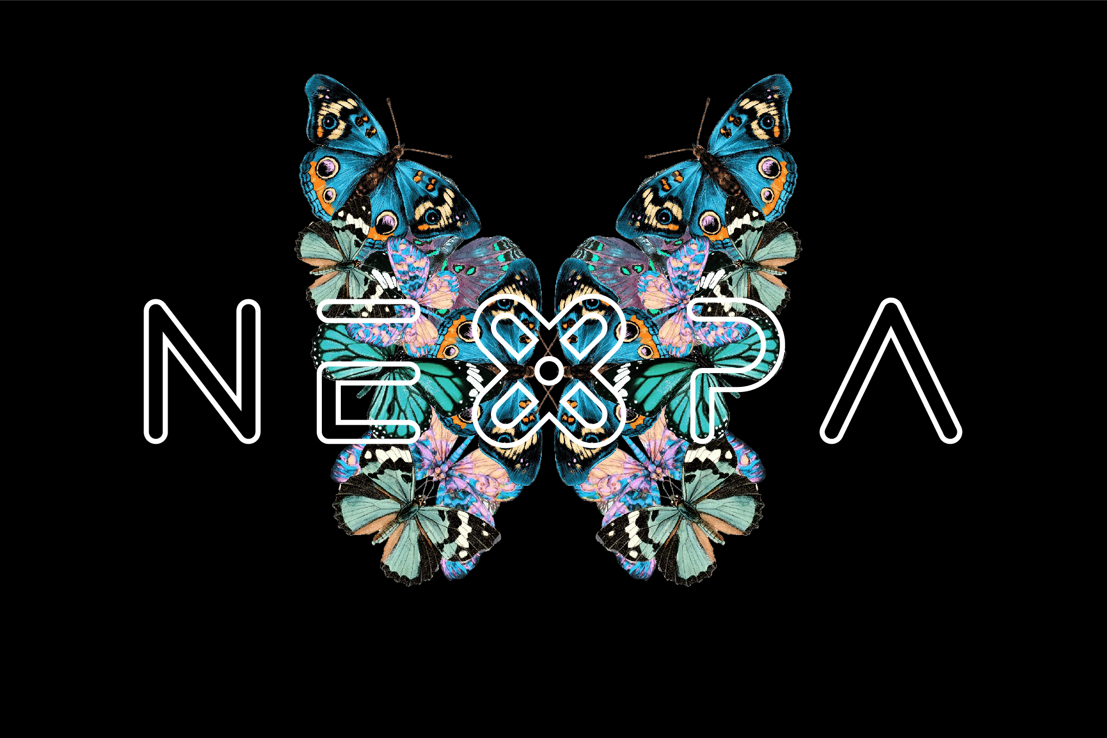 NEXPA CHAO K