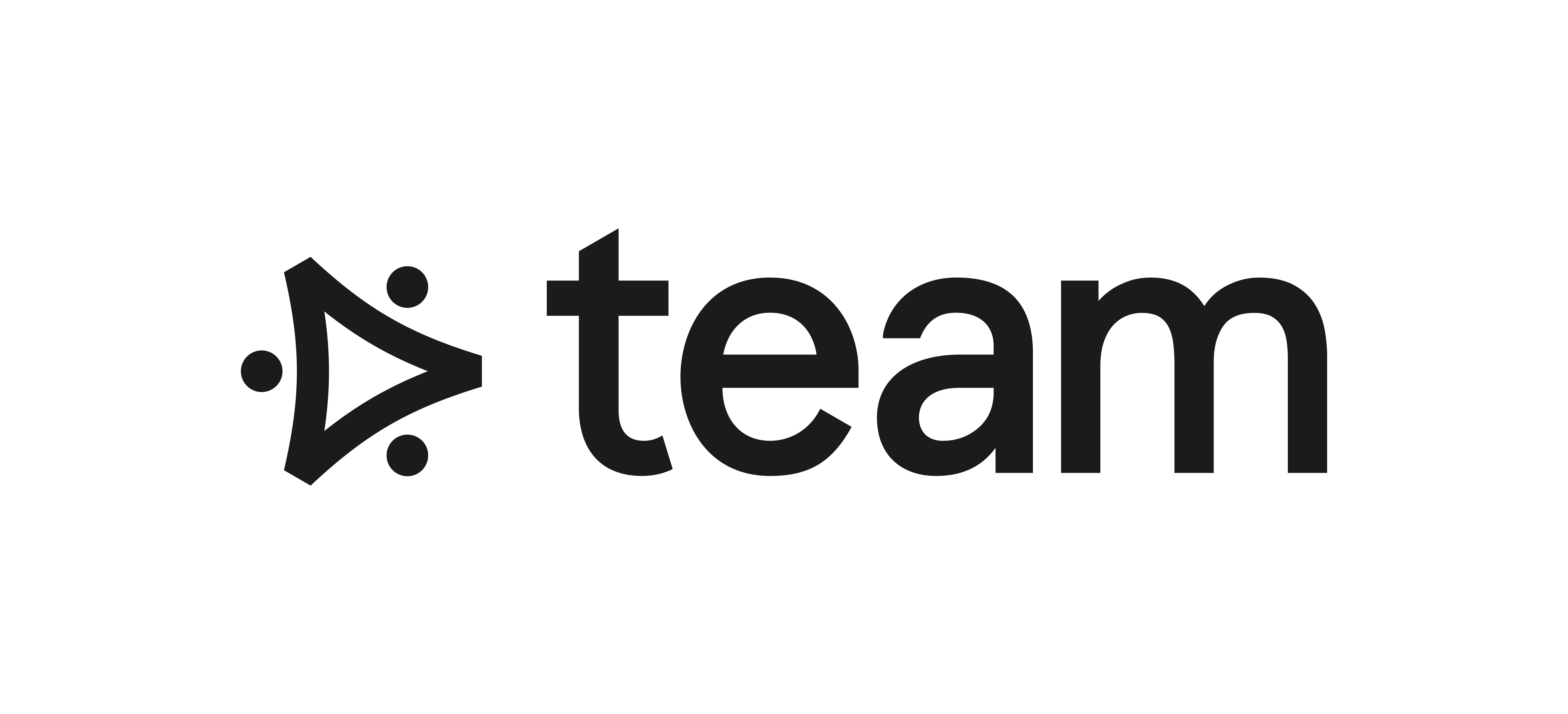 Team Consulting Ltd
